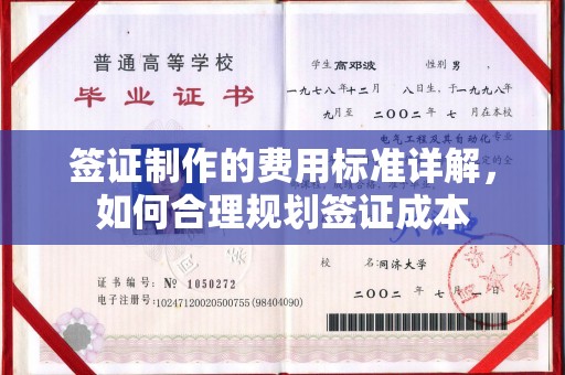 隰县签证制作的费用标准详解，如何合理规划签证成本